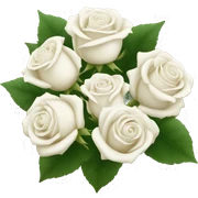white rose bouquet  sticker