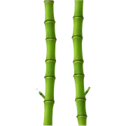 bamboo sticker