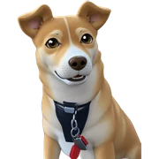 shiba inu in car interior sticker