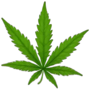 weed sticker