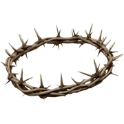 Crown of Thorns sticker