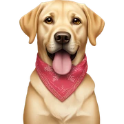 Labrador wearing birthday bandana sticker