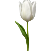 White tulip sticker
