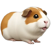 guinea pig happy sticker