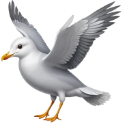 Seagull sticker