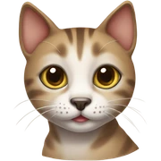 Cute sokoke cat sticker