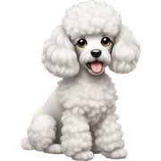 Poodle  sticker