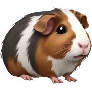 skinny guinea pig sticker