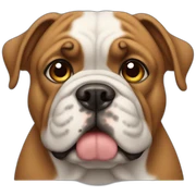 buldog sticker