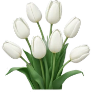 White tulips sticker
