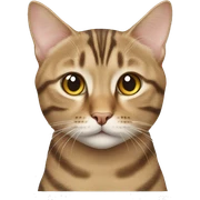 European tabby cat sticker