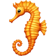 Seahorse sticker