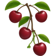 Cherry  sticker