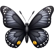 Black butterfly  sticker