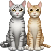 Two grey tabby cats and one beige tabby cat sitting next to each other  sticker