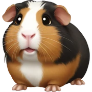 guineapig  sticker