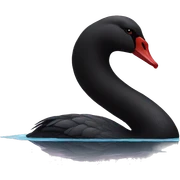 black swan sticker