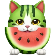 Watermelon cat sticker