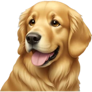 golden retriever  sticker