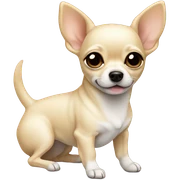 Cream colored chihuahua sticker