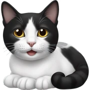 cat black and cat white sticker