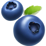 Blueberry  sticker
