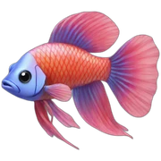 beta fish sticker