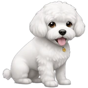 Bichon sticker
