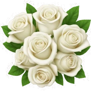White rose bouquet  sticker