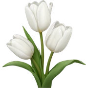 White tulips sticker