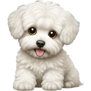 maltipoo sticker