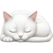 White cat sleeping  sticker