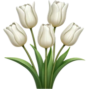 White tulips sticker