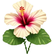 Hibiscus ￼ sticker