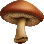 reishi mushroom sticker