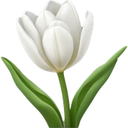 White tulips sticker