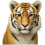 Animal  sticker