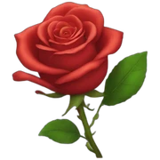 red Rose sticker
