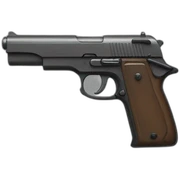 gun sticker