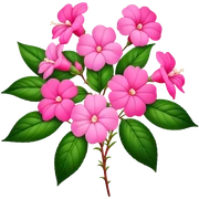big bouquet pink Impatiens Balsamina flower stem, leaf sticker