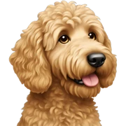 Goldendoodle sticker