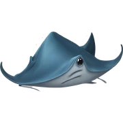 Stingray sticker
