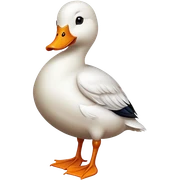 Duck  sticker