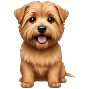 norfolk terrier sticker