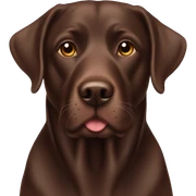 chocolate lab sticker
