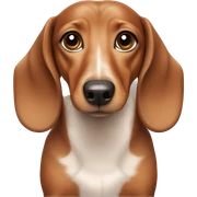dachshund sticker
