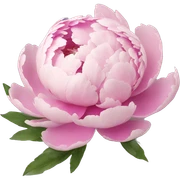 peony sticker
