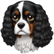 Black cavalier  sticker