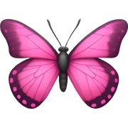 pink butterfly sticker