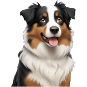 Australian Shepherd  sticker